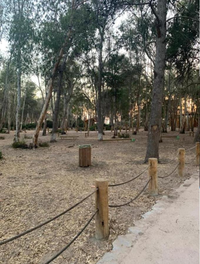 Cosy Appartement A 3Min De La Foret Et 5Min De La Plage طنجة المظهر الخارجي الصورة