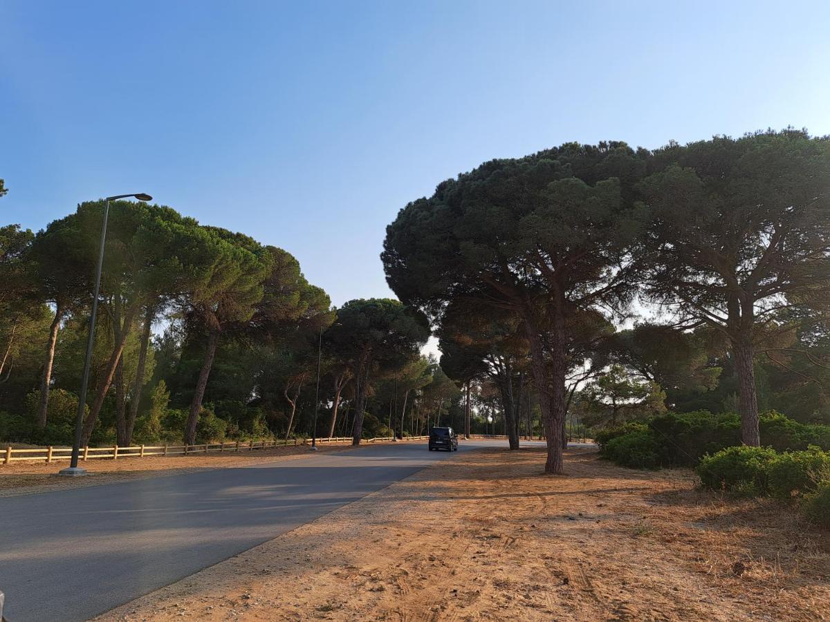 Cosy Appartement A 3Min De La Foret Et 5Min De La Plage طنجة المظهر الخارجي الصورة